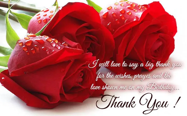 Anniversary Greetings Greeting Cards 8173