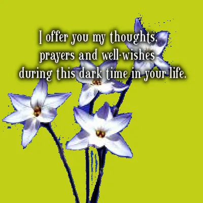 Sympathy Greetings Greeting Cards 49952
