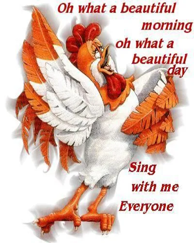 Good Morning Wishes Greeting Cards 25672