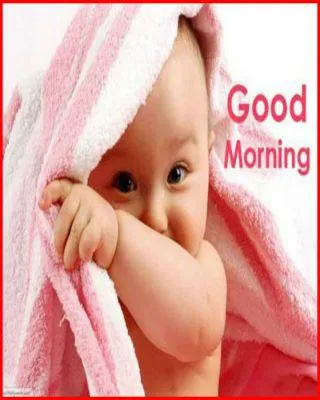 Good Morning Wishes Greeting Cards 6779
