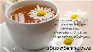 Good Morning Wishes Greeting Cards 6778