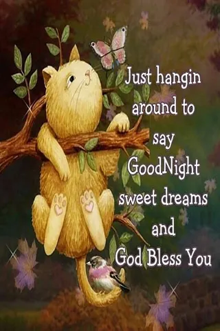 Good Night Greetings Greeting Cards 25906