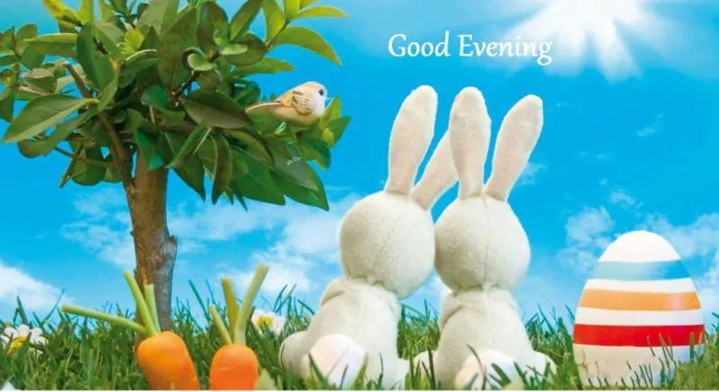 Good Evening Greetings Greeting Cards 9024