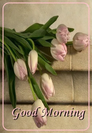 Saturday Greetings Greeting Cards 15326