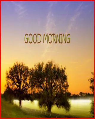 Good Morning Wishes Greeting Cards 6782