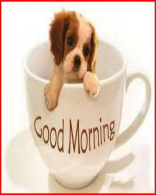 Good Morning Wishes Greeting Cards 6776