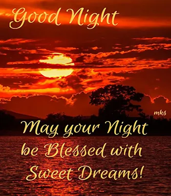 Good Night Greetings Greeting Cards 26088