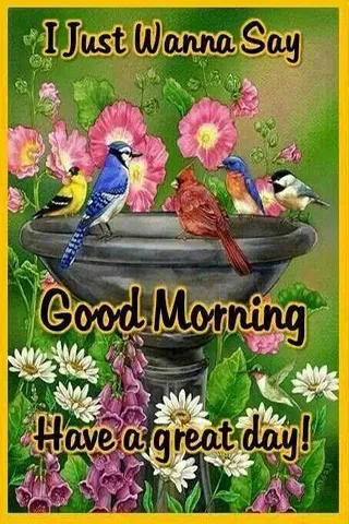 Good Morning Wishes Greeting Cards 25639