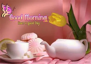 Good Morning Wishes Greeting Cards 6783