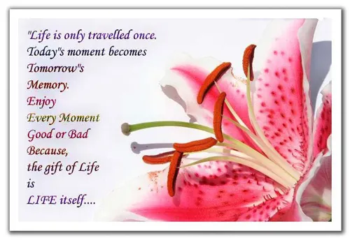 Anniversary Greetings Greeting Cards 7975