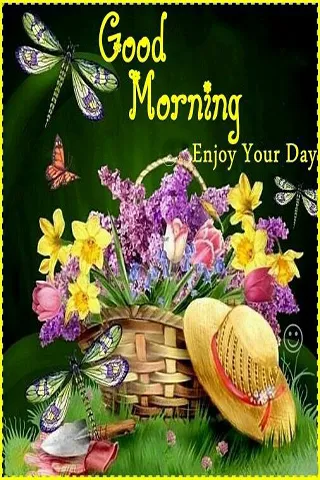 Good Morning Wishes Greeting Cards 25641