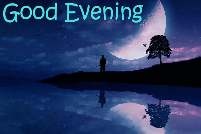Good Evening Greetings Greeting Cards 9009