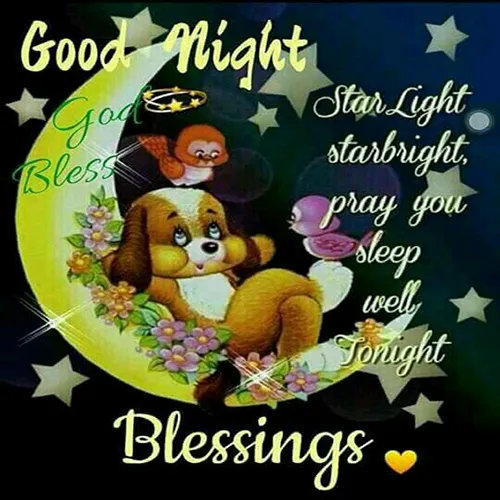 Good Night Greetings Greeting Cards 25830
