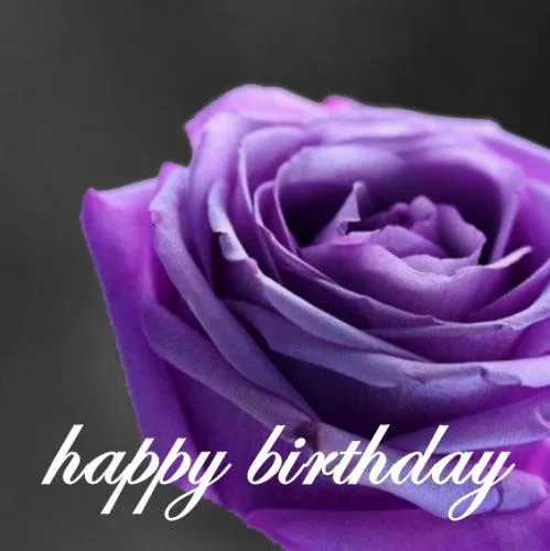 Birthday Greetings Greeting Cards 3343