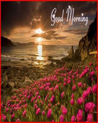 Good Morning Wishes Greeting Cards 6787