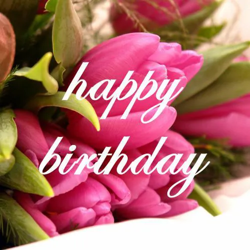 Birthday Greetings Greeting Cards 3344
