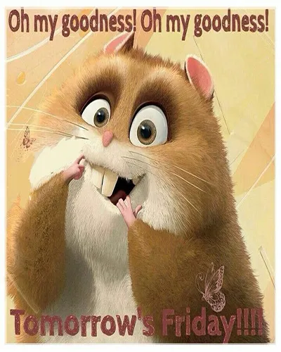 Everyday Greetings Greeting Cards 24995