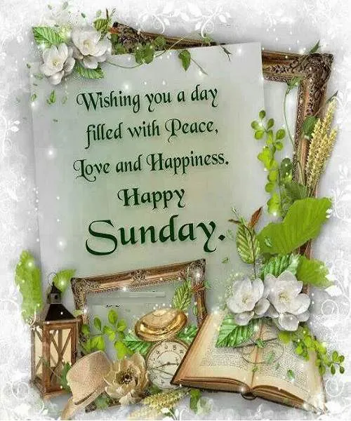 Sunday Greetings Greeting Cards 10144