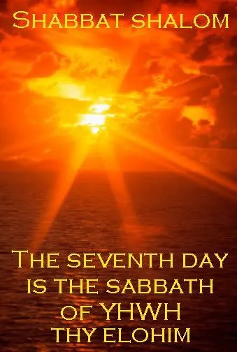 Shabbat Shalom Greeting Cards 51692