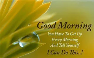 Good Morning Wishes Greeting Cards 6791
