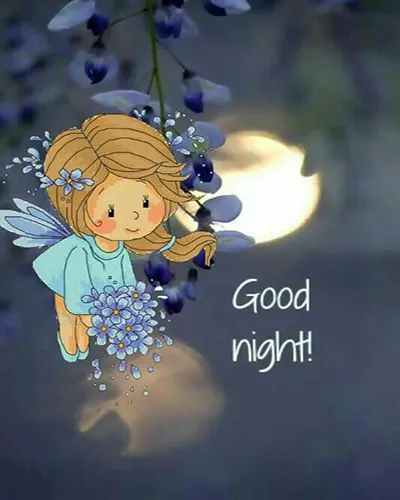 Good Night Greetings Greeting Cards 25975