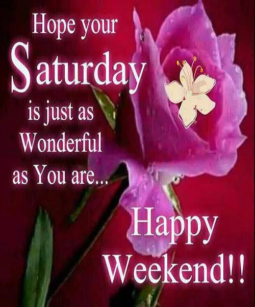 Sunday Greetings Greeting Cards 10140