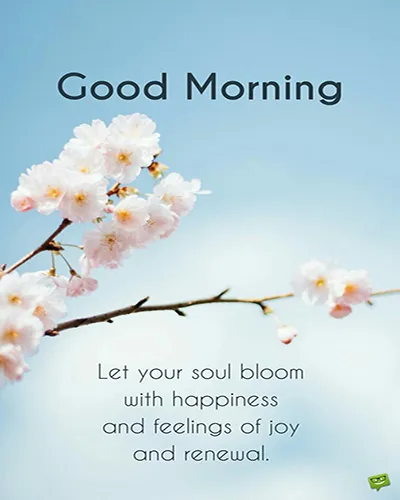 Good Morning Wishes Greeting Cards 25667