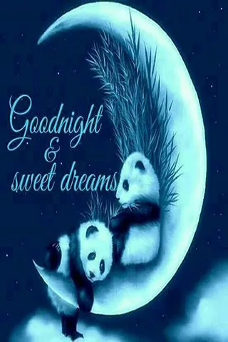 Good Night Greetings Greeting Cards 25911