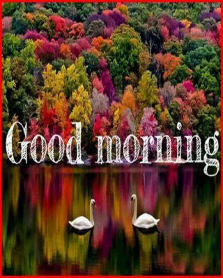 Good Morning Wishes Greeting Cards 6797
