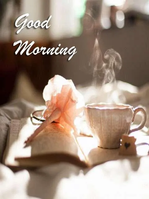 Good Morning Wishes Greeting Cards 7212