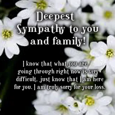 Sympathy Greetings Greeting Cards 49990