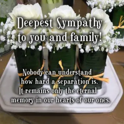 Sympathy Greetings Greeting Cards 49996