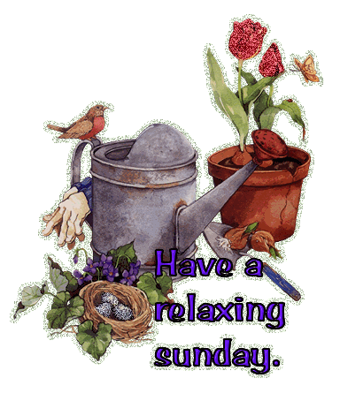 Sunday Greetings Greeting Cards 10219