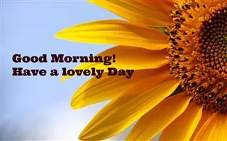 Good Morning Wishes Greeting Cards 6795