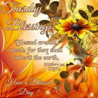Everyday Greetings Greeting Cards 14464