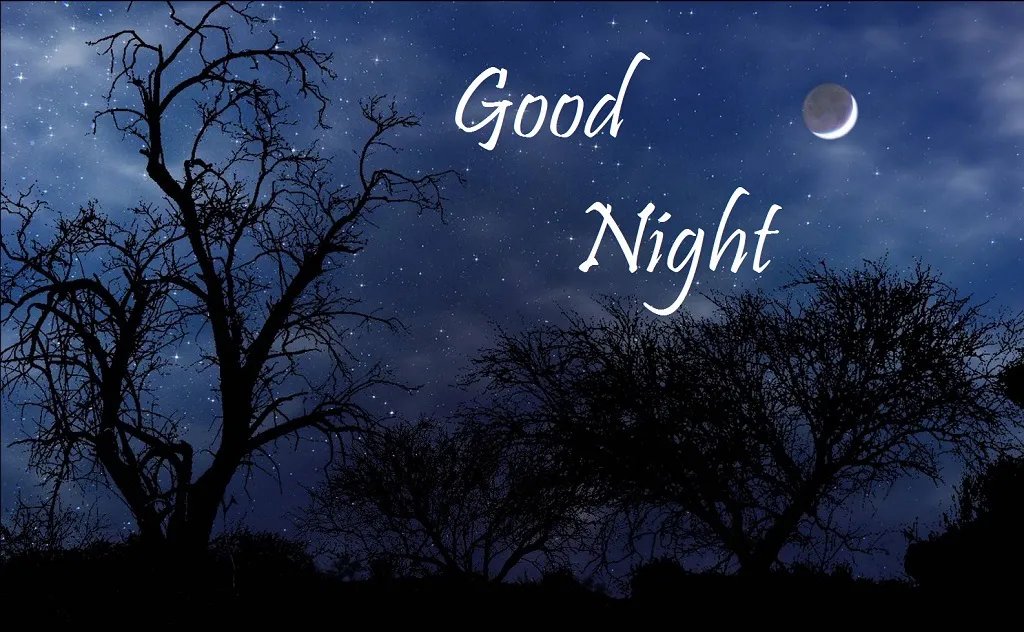 Good Night Greetings Greeting Cards 9361