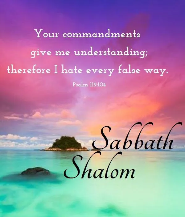 Shabbat Shalom Greeting Cards 51660