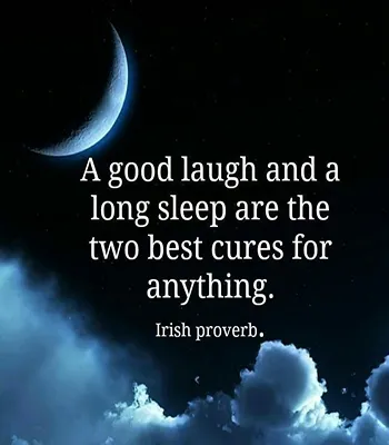 Good Night Greetings Greeting Cards 26103