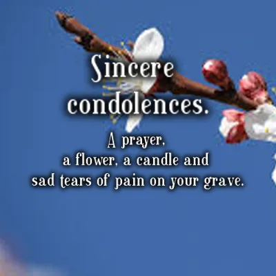 Sympathy Greetings Greeting Cards 49979