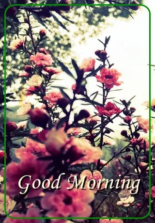 Saturday Greetings Greeting Cards 15330