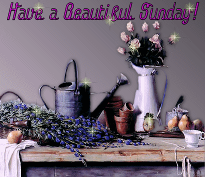 Sunday Greetings Greeting Cards 10328