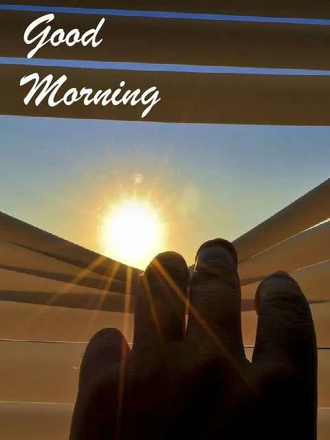 Good Morning Wishes Greeting Cards 7213
