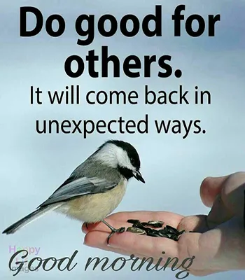 Good Morning Wishes Greeting Cards 25525