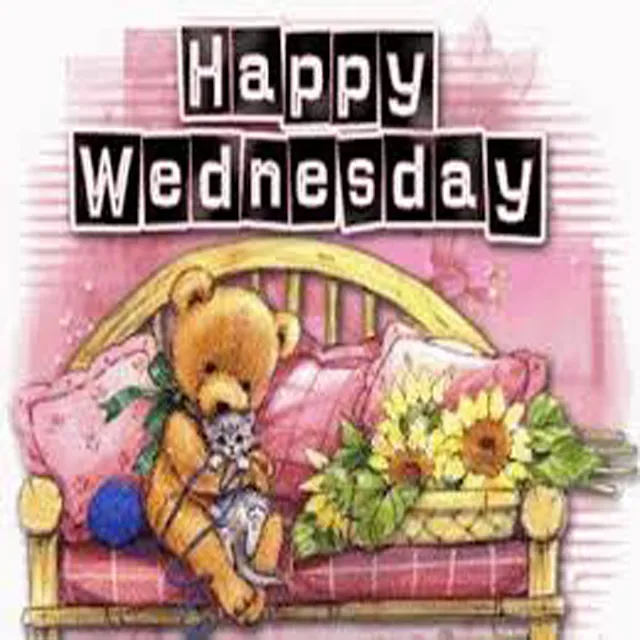 Everyday Greetings Greeting Cards 14512