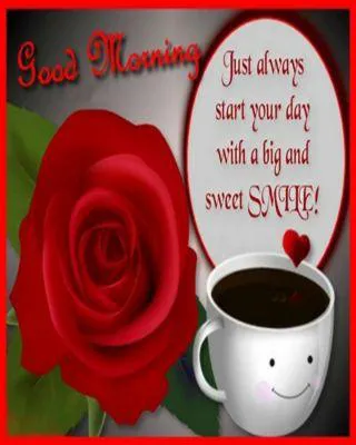 Good Morning Wishes Greeting Cards 6794