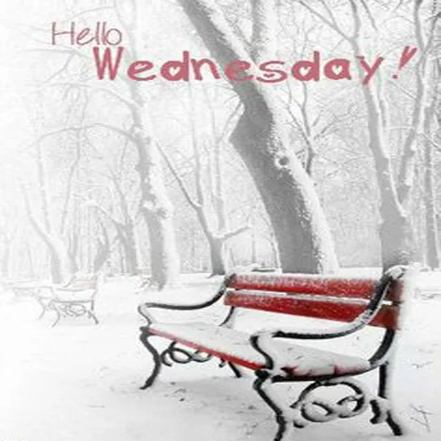 Everyday Greetings Greeting Cards 14485