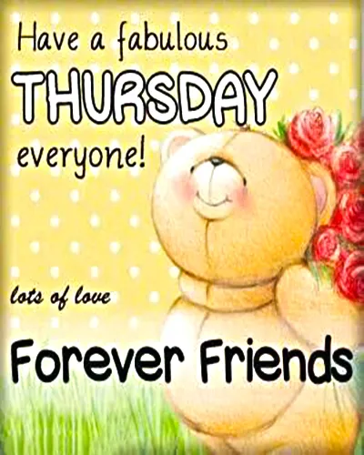 Everyday Greetings Greeting Cards 25000