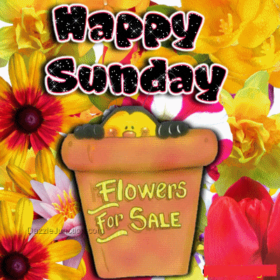 Sunday Greetings Greeting Cards 10024