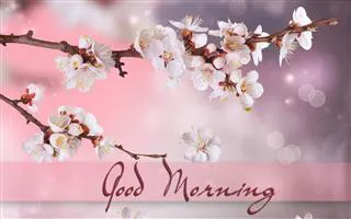 Good Morning Wishes Greeting Cards 6801