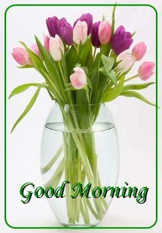 Saturday Greetings Greeting Cards 15309